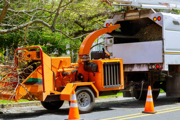 Best Commercial Tree Services  in Bogota, NJ